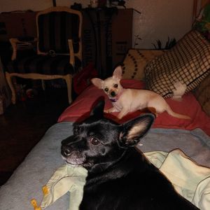 Meet your Posher, Nancy